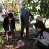 โครงการถังขยะเปียกลดโลกร้อน